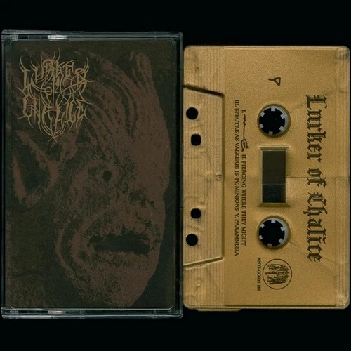 Anatomia “Decaying in Obscurity” CD Out Now | NWN! Productions